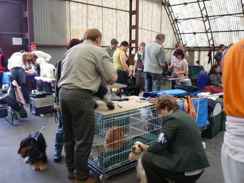 narodka boleslav 002.jpg